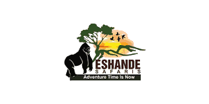 Eshande Safari's Logo