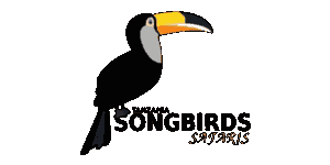 Tanzania Songbirds Safaris Logo