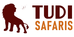 Tudi Safaris Logo