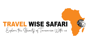 Wise Safari Tanzania Logo