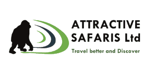 Attractive Safaris
