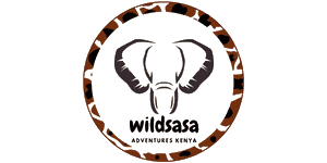 Wildsasa Adventures Kenya Logo