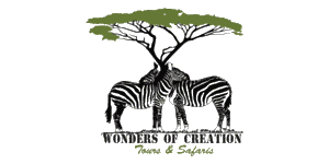 Wonders of Creation Tours and Safaris