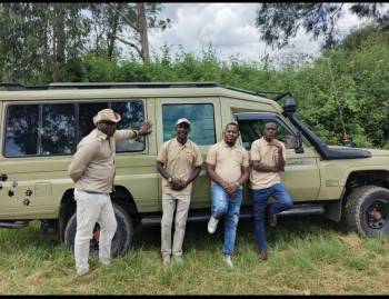 Our experienced team 