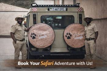 Serengeti Landmark Tours Photo