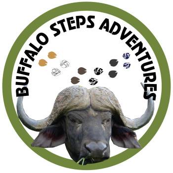 Buffalo Steps Adventures