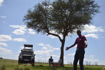 Tazama Africa Holidays