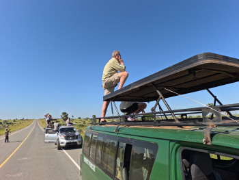 Pick and Transfer Safaris Photo