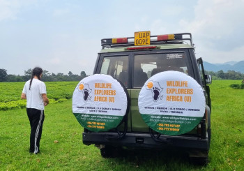 We truly shines as a beacon of responsible travel