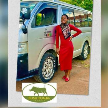 Tourist van with a staff member